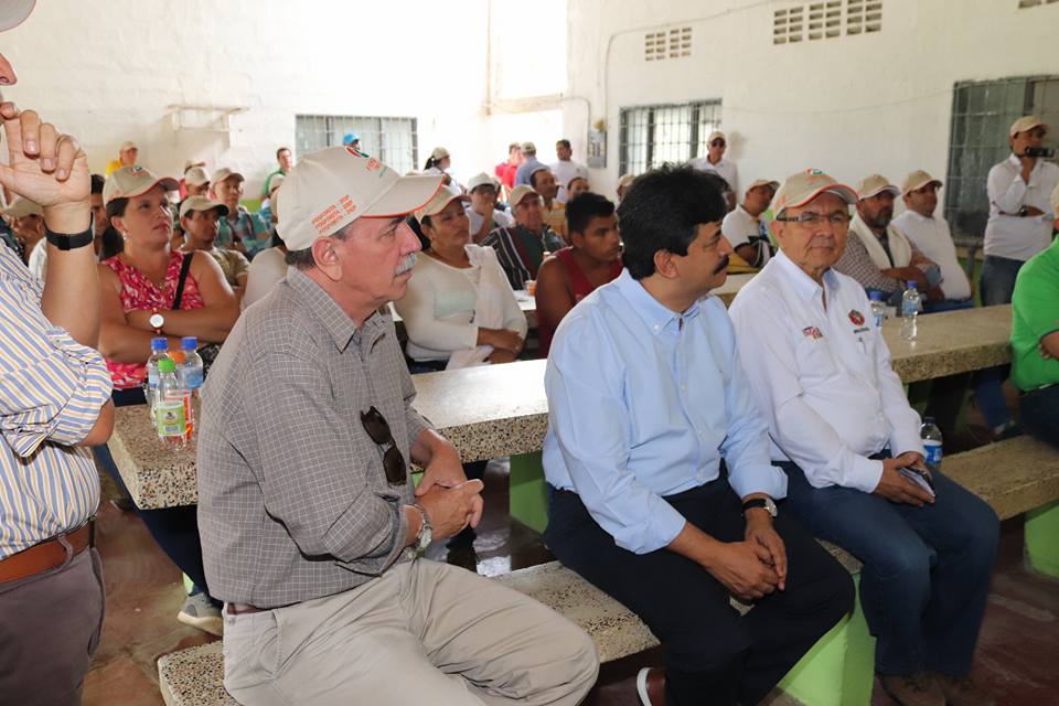 20430089 1577276202336576 8414027861073038645 n